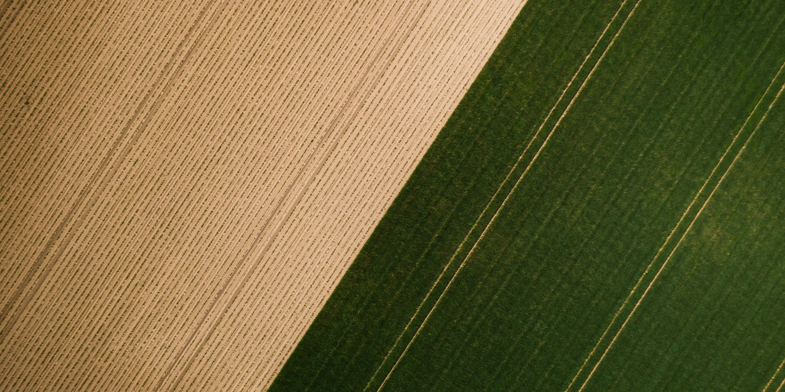 Classement des Meilleures Licences Mathématiques en France