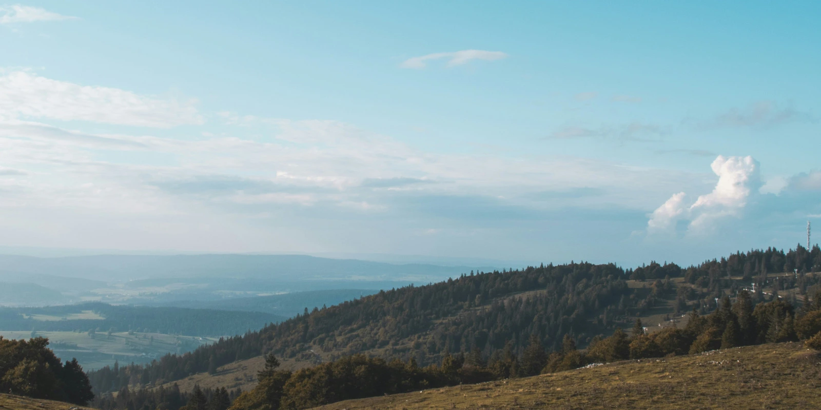Licence Mathématiques à Lille : Programme et Débouchés