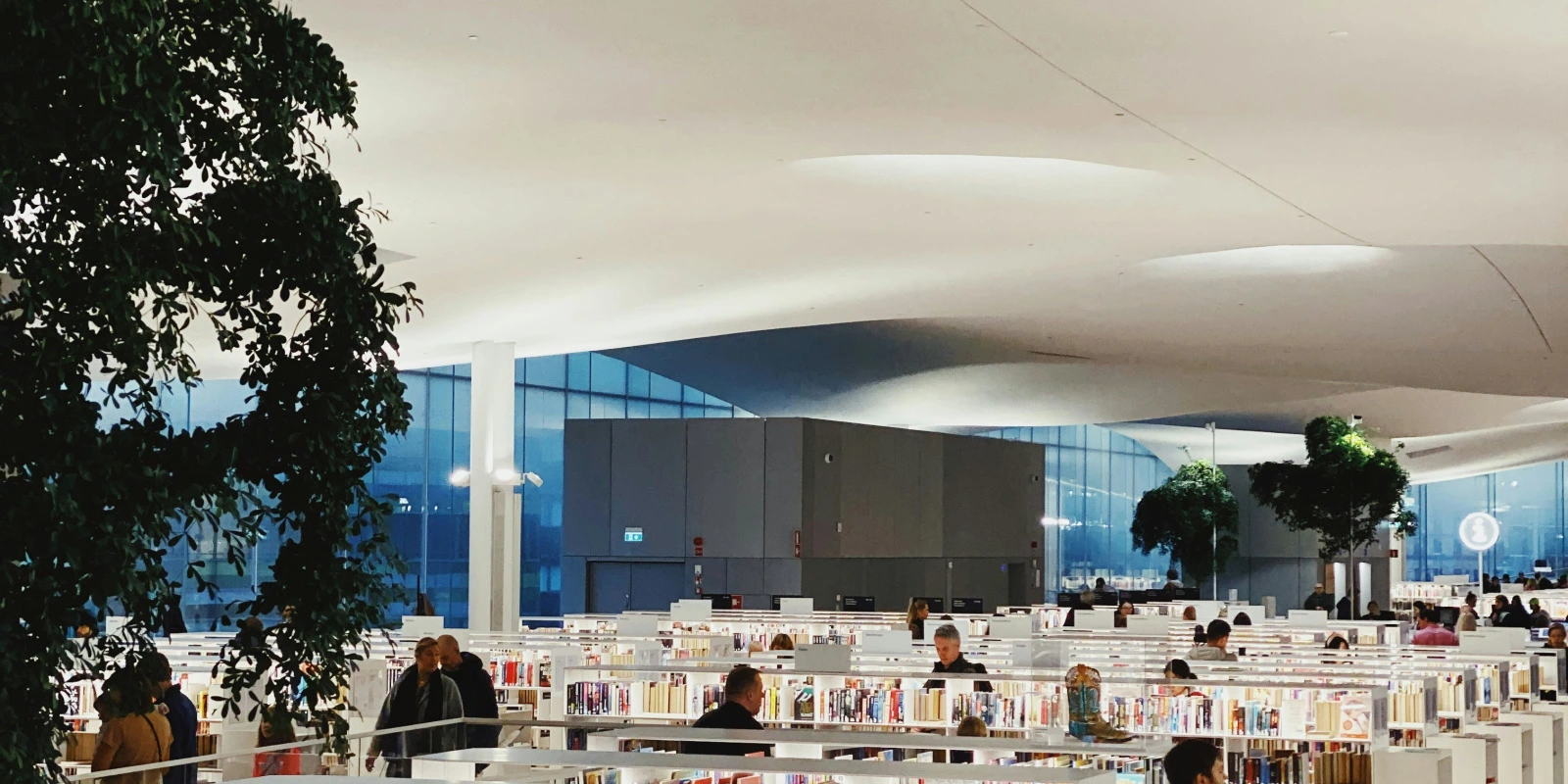 Programme L1 Mathématiques à Rennes 1