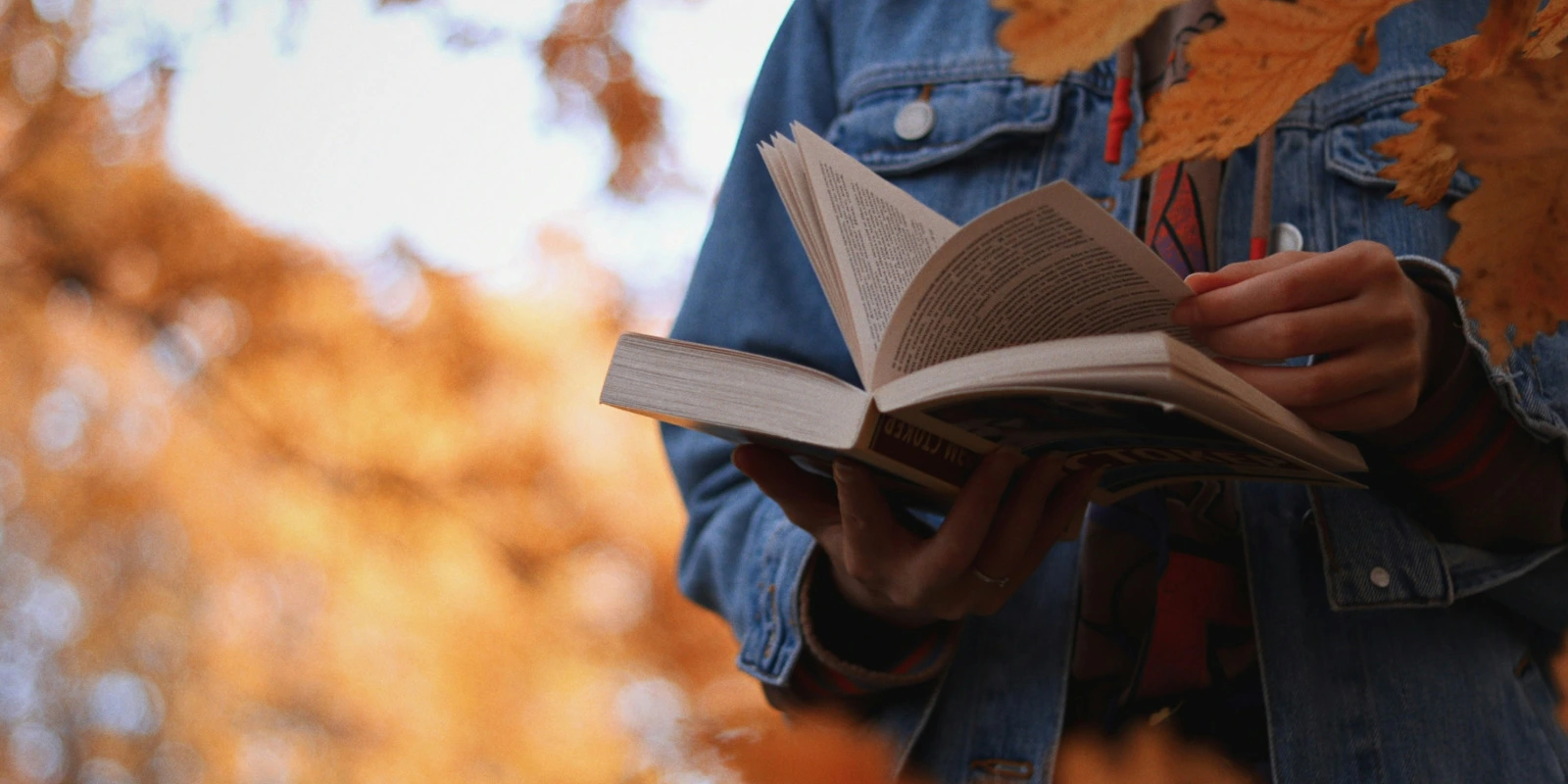 Université de Lorraine : UFR Mathématiques et Informatique